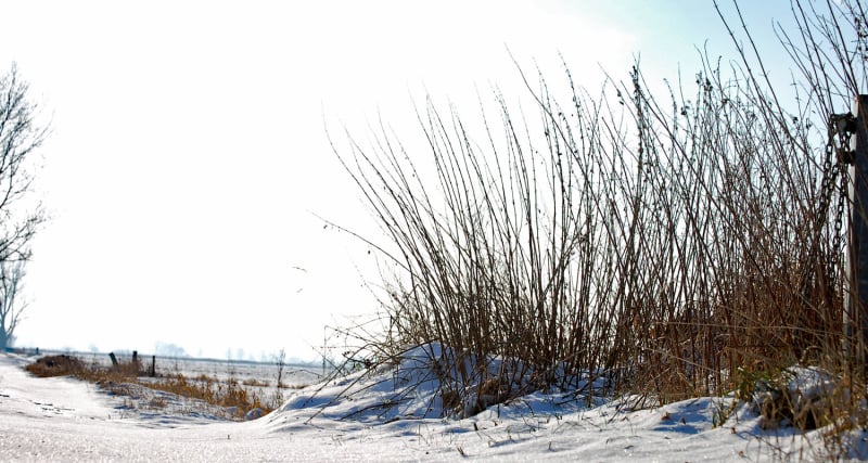 FEWO-Kück, 2 Personen, Ferienwohnung in Lilienthal-Worphausen