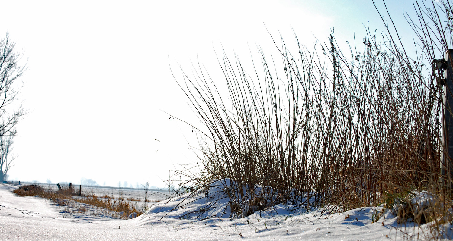 FEWO-Kück, 2 Personen, Ferienwohnung in Lilienthal-Worphausen