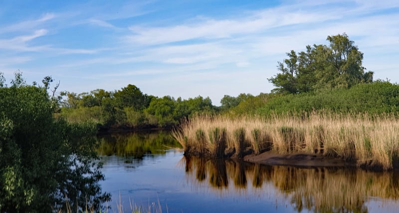 FEWO-Kück, 2 Personen, Ferienwohnung in Lilienthal-Worphausen